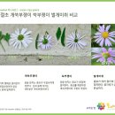 대안마을 네이버블로그