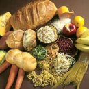 군포굿닥터동물병원 이미지