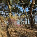 홈플자동차정비 이미지