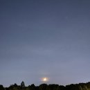 F1자동차 금천점 | 서울 실습 6_가을 좋아