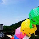 학나래노인대학 | 화창한 오월, 부산 당감복지관과 함께 떠난 청춘대학 봄나들이 풍경