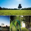 [소개팅사이트] 데이트 - 한강시민공원,난지도,하늘공원,서울숲 이미지