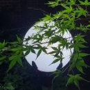 한국성서대학 이미지