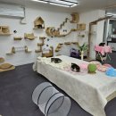 동물보육원 이미지