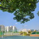 구갈레스피아 게이트볼장 이미지