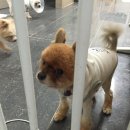 종보농장 이미지