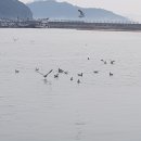 목향민박 | 진도 한옥펜션 진도 한옥목향민박에서 힐링하고왔어요
