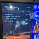 87 | 김해 삼계동 맛집, 퇴근 후 곱창전골 땡길 때 당감댁 김해직영점 솔직 후기