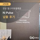 힐스타동물병원 네이버블로그