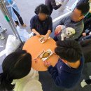 양일농장 | 울진여행 1박2일 애견동반, 소심한 강아지를 위한 코스