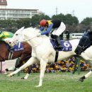 가라월라 이미지