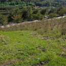 하개명마을회관 이미지