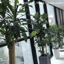 초록마취통증의학과의원 이미지