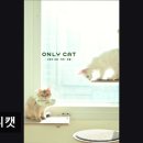 온니애견미용 | (평택, 강아지, 고양이, 애견미용, 추천!) 온니캣 온니캣, 맞춤 케어가 뛰어난 고양이 미용실