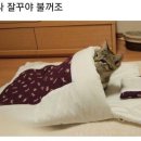 공오삼 이미지