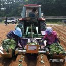 (주)소구 이미지