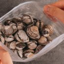 꼬막꼬막 이미지