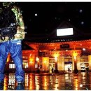 박영운 카카오 검색결과