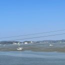 진포식품 이미지