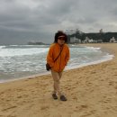 썬프러스 이미지