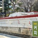 N88 카페