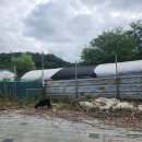 시골오리농장