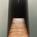 태권위드태권도장