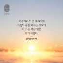 소망