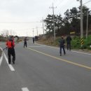 암태중학교 이미지