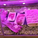 용산골식육식당 이미지