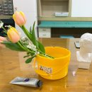 예쁜꿈미술교습소 이미지