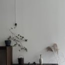 고요히 | [천안] 불당동 느좋카페 잔잔하고 고요한 '고요히' 내돈내산 후기 드립커피