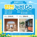 합천광역시티투어 누비고 | 합천광역시티투어 합천 누비GO (출발장소 진주, 대구)