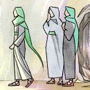 살로메(SALOME) 이미지