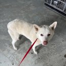 삼산종합동물병원 이미지