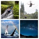 (주)용암온천관광호텔 이미지