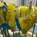 손세탁 운동화 이미지