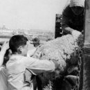 한림목장 이미지