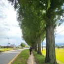 죽관메원 이미지