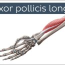 더봄의원 이미지