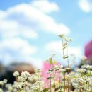 풍요로운 기다림 이미지