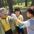 금당어린이집 이미지