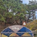 심곡 | 강원 강릉 정동 심곡 바다 부채길 추천 후기