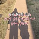 엄마사랑유치원 | 유치원 적응 못하는 아이 5개월간 눈물의 유치원 적응 후기