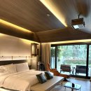 제주 플로라 | 제주 태교여행 5성급 호텔 엠버퓨어힐 호텔&amp;리조트 포레스트 플로라 가든 더블룸 후기