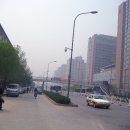 청목화원
