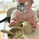 호박단지 | tgm 조가비 자기주도 이유식 흡착 라이스볼, 호박 단지 빨대컵 후기