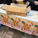 광산마을 | 신가동 마을축제 “광산세워(share)&#34;에 다녀왔던 후기!