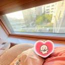 디엘건설(주) | 봄빛병원 산후조리원 1관 VIP실 후기