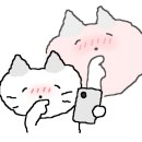 화목칼국수 서포항점